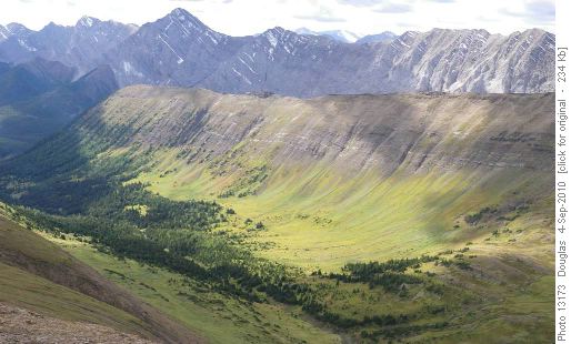 View of Grizzly ridge