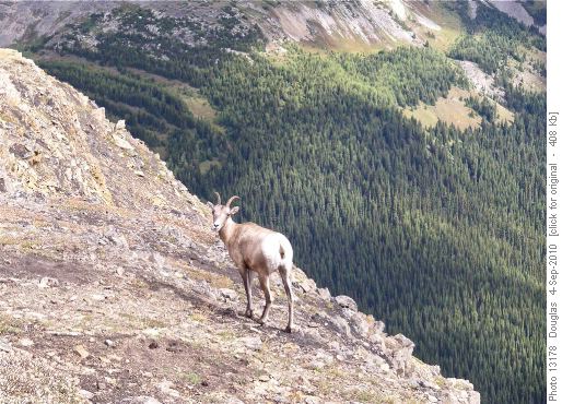 Company along Highwood Ridge