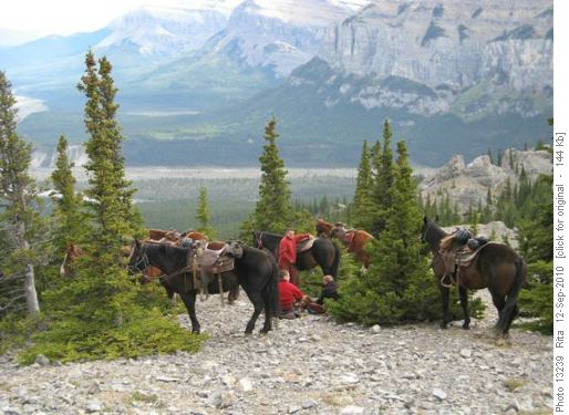 horses on Black Rock Mtn trail