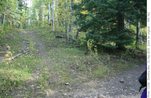 Start of 'new' trail up Ranger Ridge