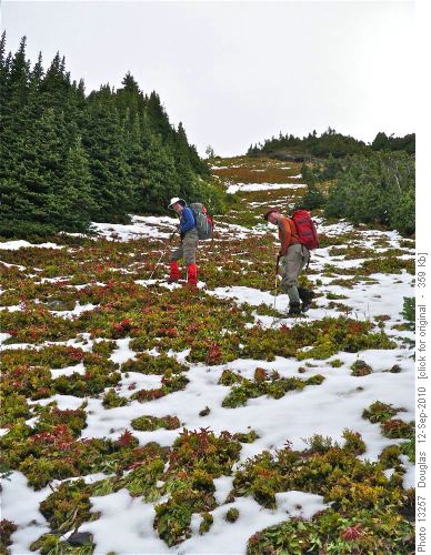 Up the lower slopes
