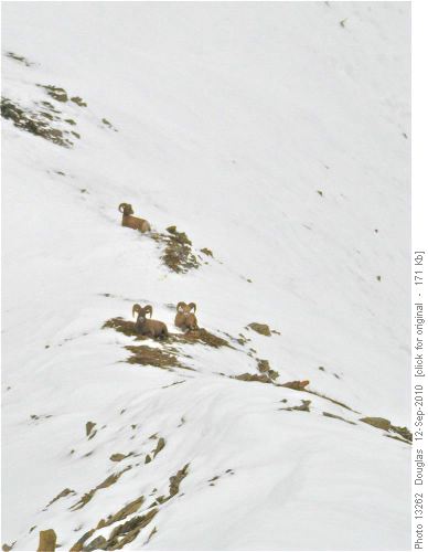 Company ahead on the ridge