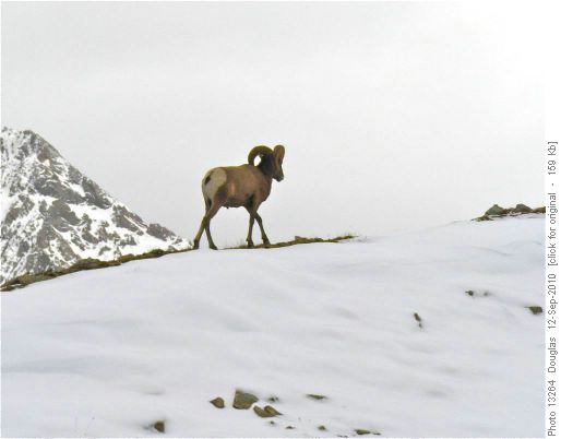 I'll be on my way along the ridge top!