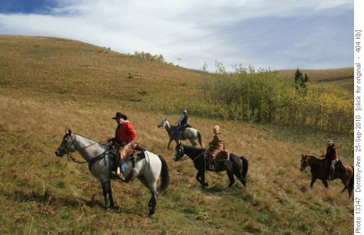 Ranchers out looking for stray cattle