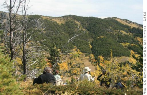Lunch with a view of the Bull Creek Hills