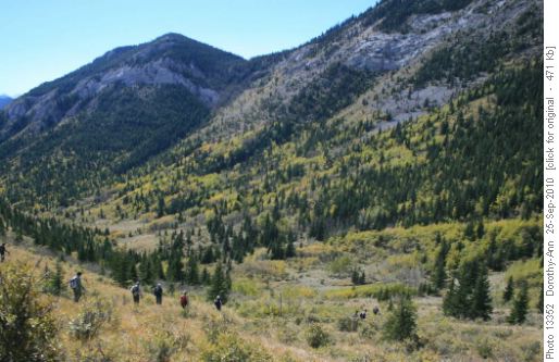 Down to the Gunnery Creek Valley
