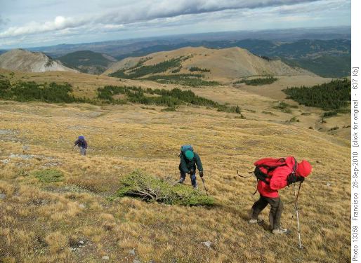 Hardy ramblers against the wind