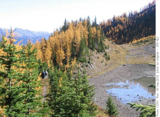 Larchy trail from Indefatigable Outlier