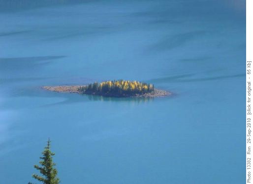 Aspens on an island