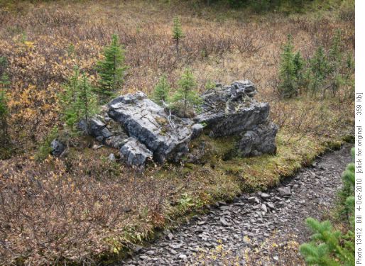 Rock marking the trail location