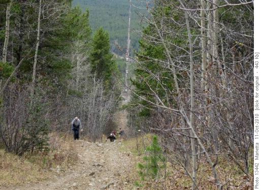 Climbing up the seismic line