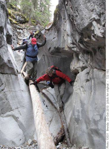 Descending into the canyon