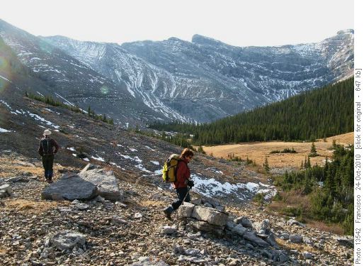 Meadows in upper Canyon creek