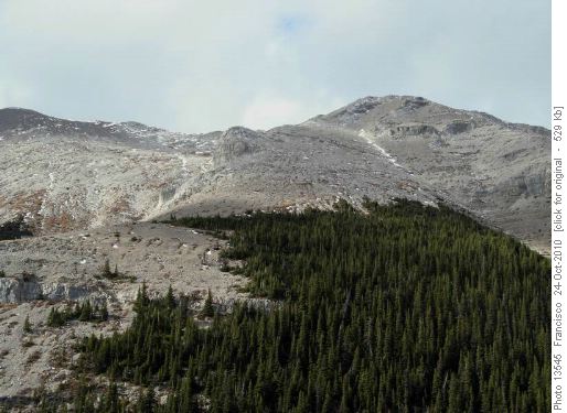 Ridge west of Bryant Lk.