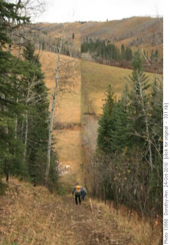 Start of trail to Carey Ridge