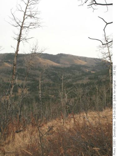 North end of Carey Ridge