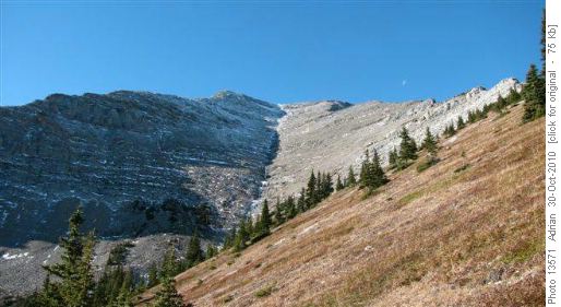 Mt Holy Cross from just above tree line