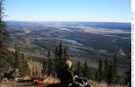 Lunch with the Bow Valley stretched out below