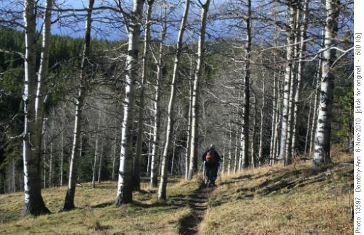 Starting down the trail