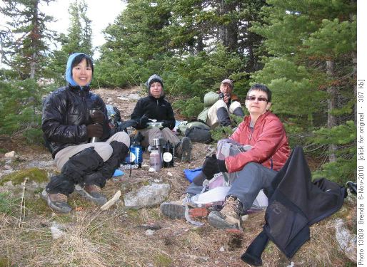 Sheltered lunch in the trees