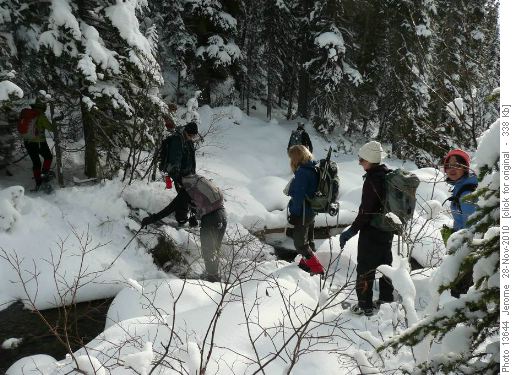 Creek crossing - snowshoe style