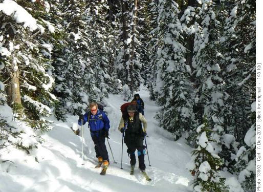 Climbing to Healy meadows