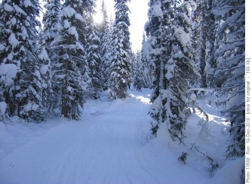 winter wonderland on Tyrwhitt