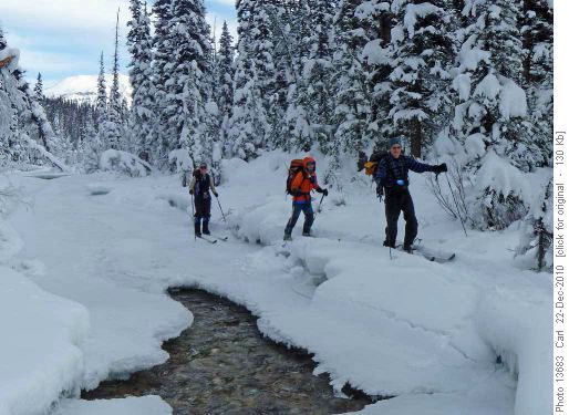 Ascending Paradise Creek