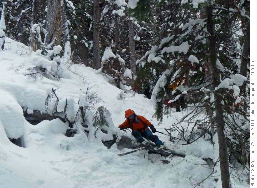 Obstacle on the trail to Lake Annette
