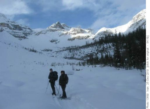 Chickadee Valley /Greg, Yoko/.
