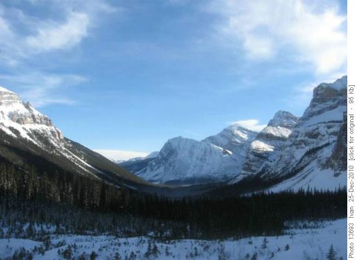 Chickadee Valley