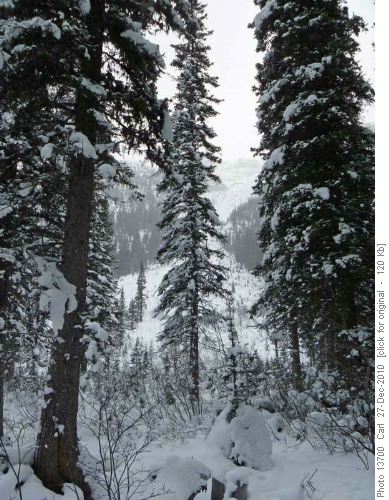 Likeliest avalanche slope along Redearth Creek fire road