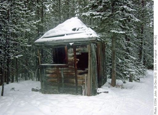 Elf dwelling?
