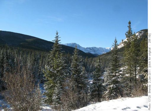 Prairie Creek Valley