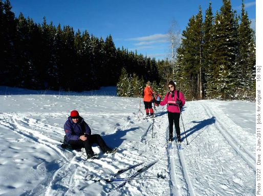 Return on the Moose Loop