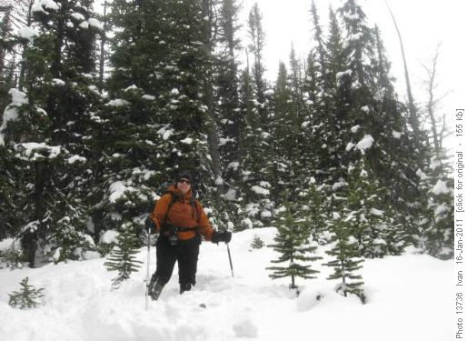 Marmot Basin/Alicja/