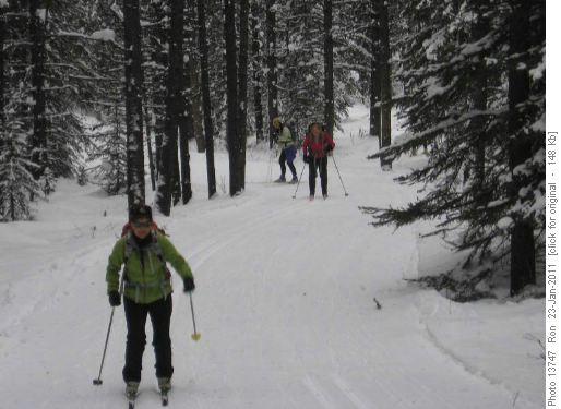 {1054 Kathy Brisco} on Wheeler