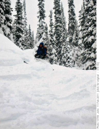 Descending the tree triangle from Asulkan hut.