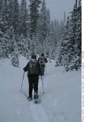 Heading up the creek drainage