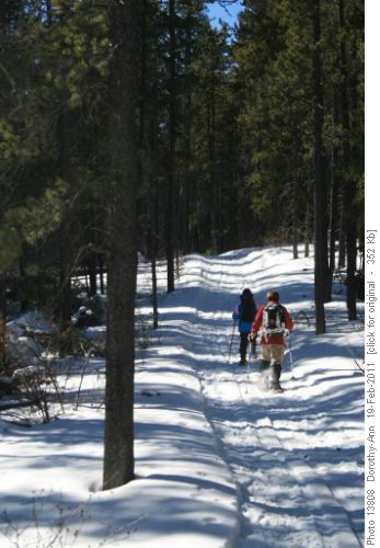 Heading down Balsam Link