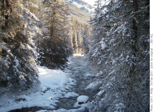 Morning sun-Forty Mile Creek