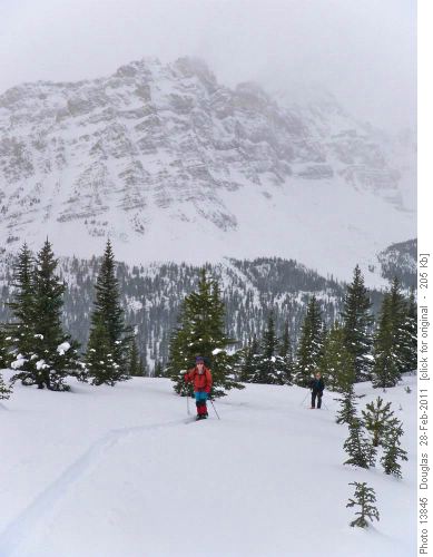 Climbing slopes above N Fork of Mosquito Creek