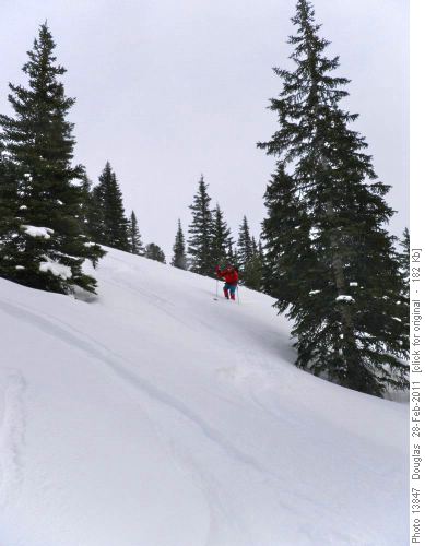 Down through the glades