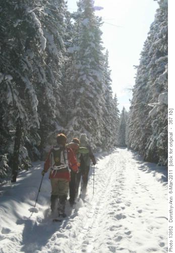 Fresh snow with a lone ski track to follow