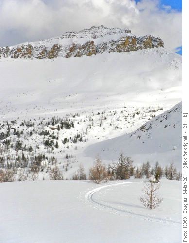 Start of the 2nd run