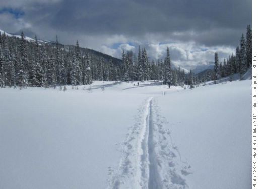 Simpson Pass Meadows