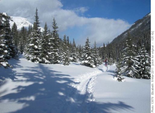 Simpson Pass Environs