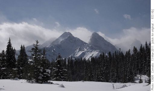 Commonwealth Peak Area, looking West from Chester Lake snowshoe trail after climbing up to the glade.