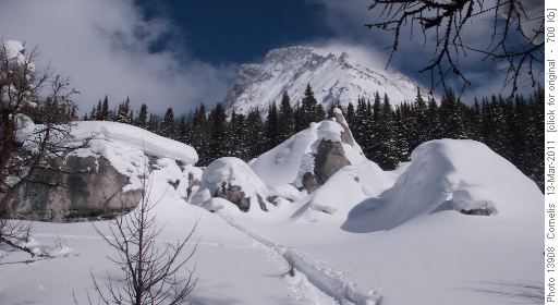 The first group of Elephant Rocks at ~2,260m elevation. Mt Chester in the background.
