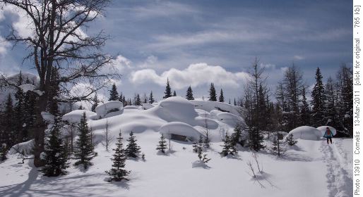 The second group of Elephant Rocks, just SW of the first group.
